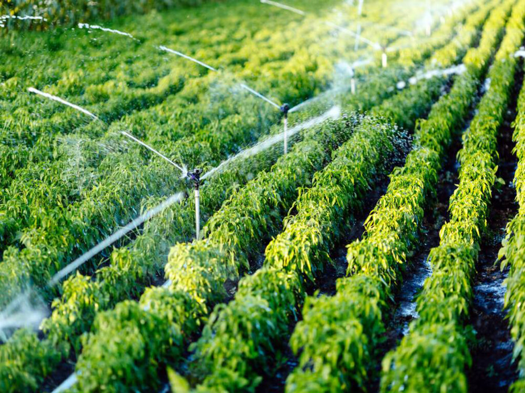 high efficiency Irrigation Installation System in Pakistan